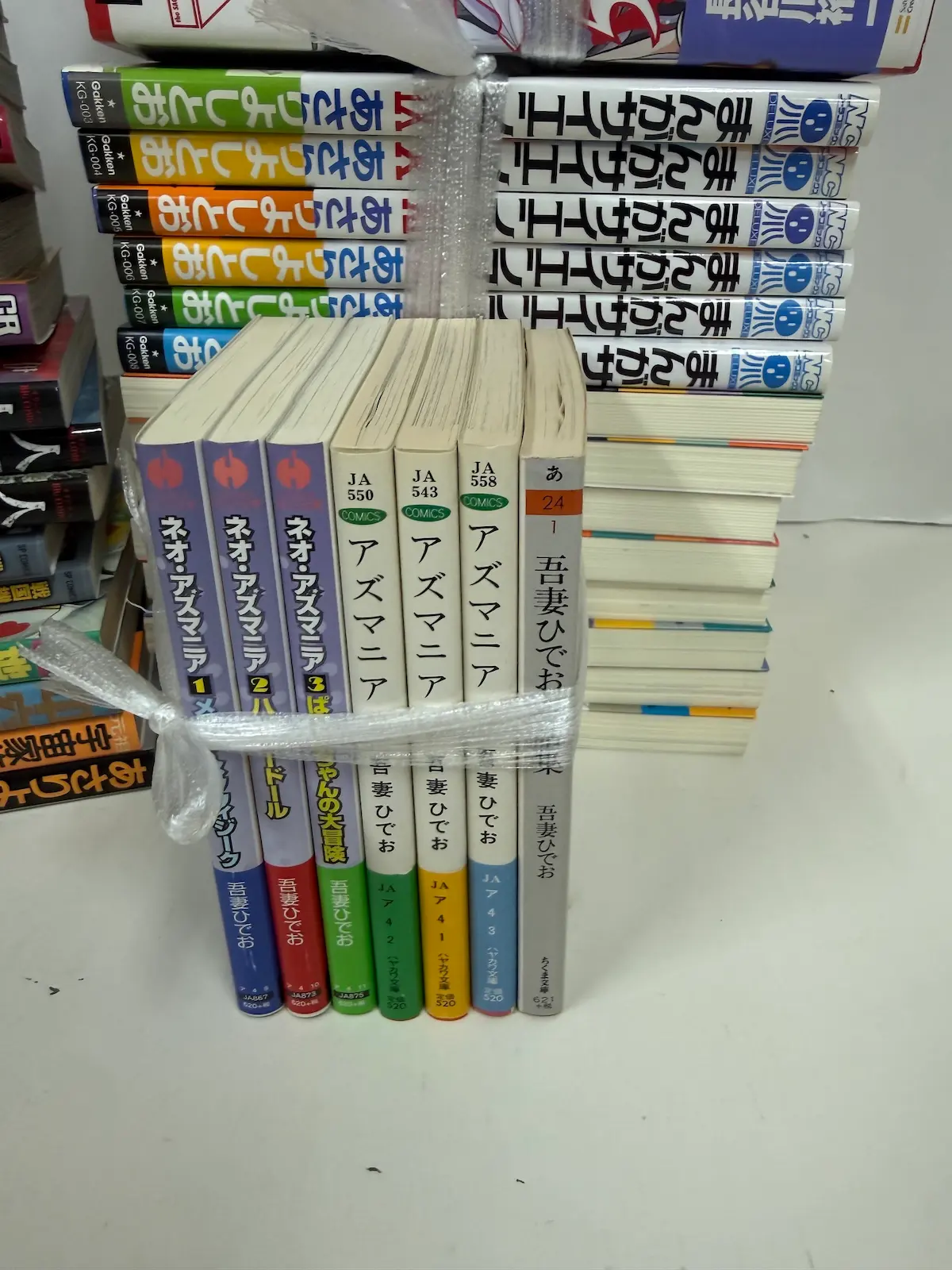 事務所で立てた状態にして束にした背表紙。左から吾妻ひでお『ネオ・アズマニア』1・2・3、『アズマニア』ハヤカワ文庫JAのJA550・JA543・JA558、そしてちくま文庫1冊の背が並ぶ