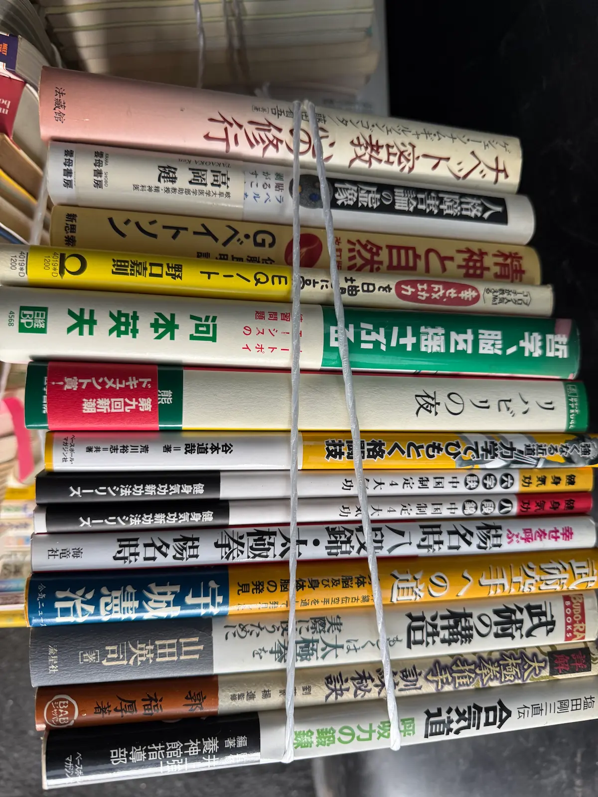 武術・気功と哲学の本を縦に積んだ束の背表紙。塩田剛三 口伝／養神館指導部 編著『合気道 呼吸力の鍛錬』ベースボール・マガジン社、宇城憲治の武術空手関連、山田英司『武術の構造』、健康気功新功法シリーズの六字訣と八段錦、楊名時 八段錦・太極拳二十四式（海竜社）、河本英夫（日経BP）、高岡健『人格障害論の虚像』などが混在し、白いビニール紐で縛られている