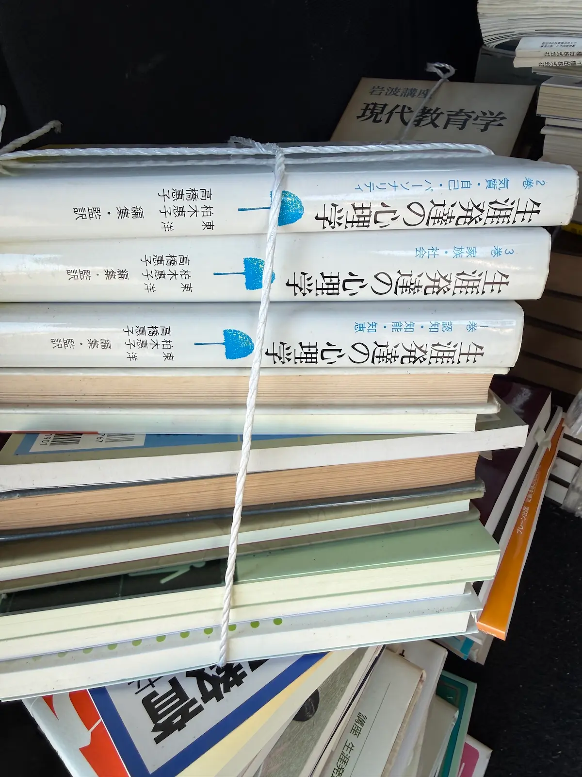 東洋・柏木惠子・高橋惠子監修編『生涯発達の心理学』シリーズと岩波講座『現代教育学』、紐で縛られた状態